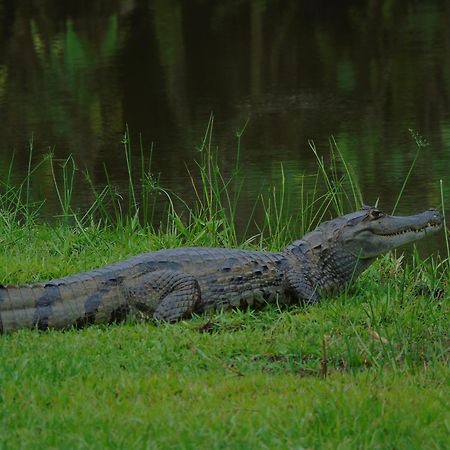 Hotel Reserva De Piedemonte ビリャビセンシオ エクステリア 写真