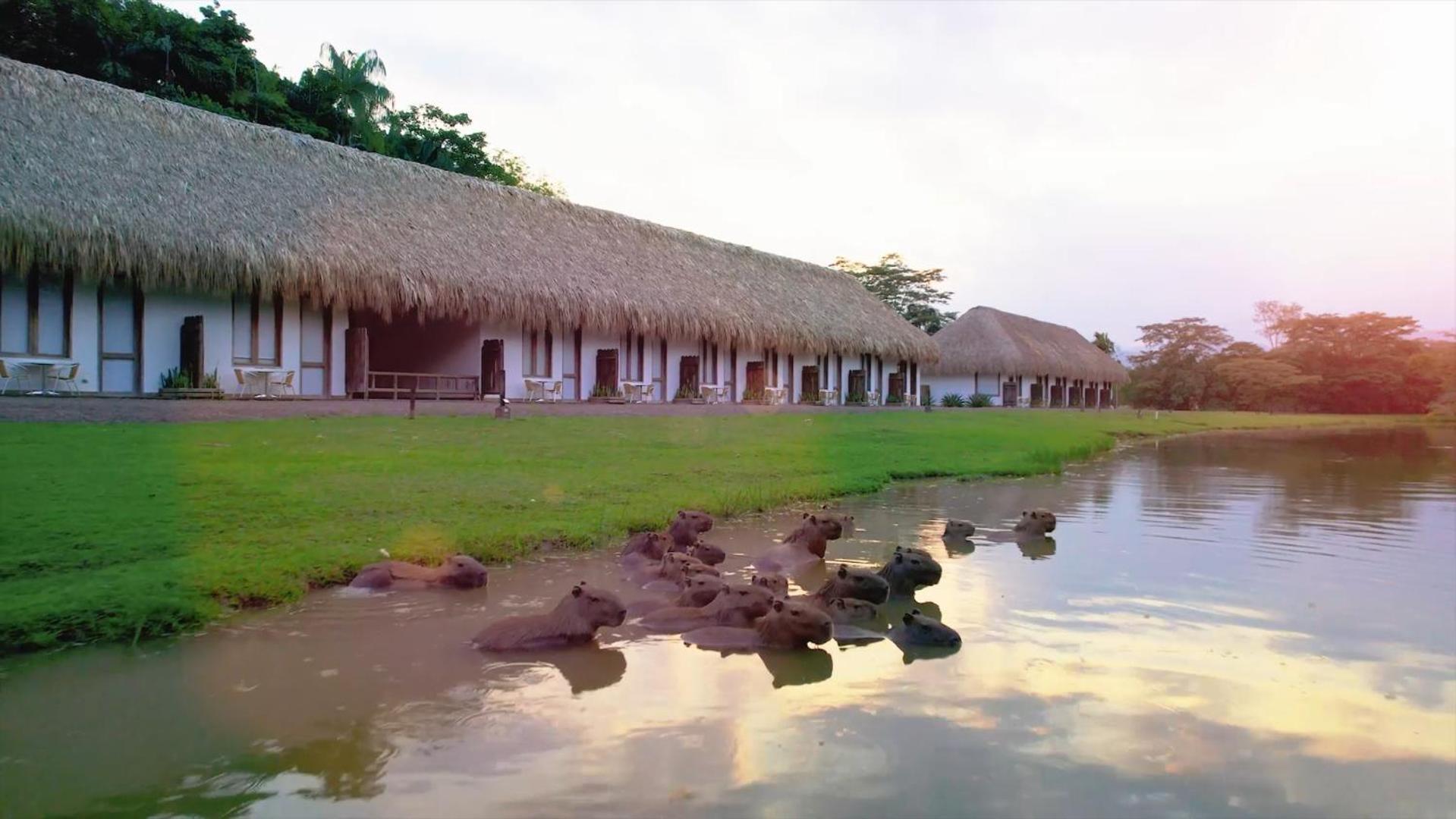 Hotel Reserva De Piedemonte ビリャビセンシオ エクステリア 写真