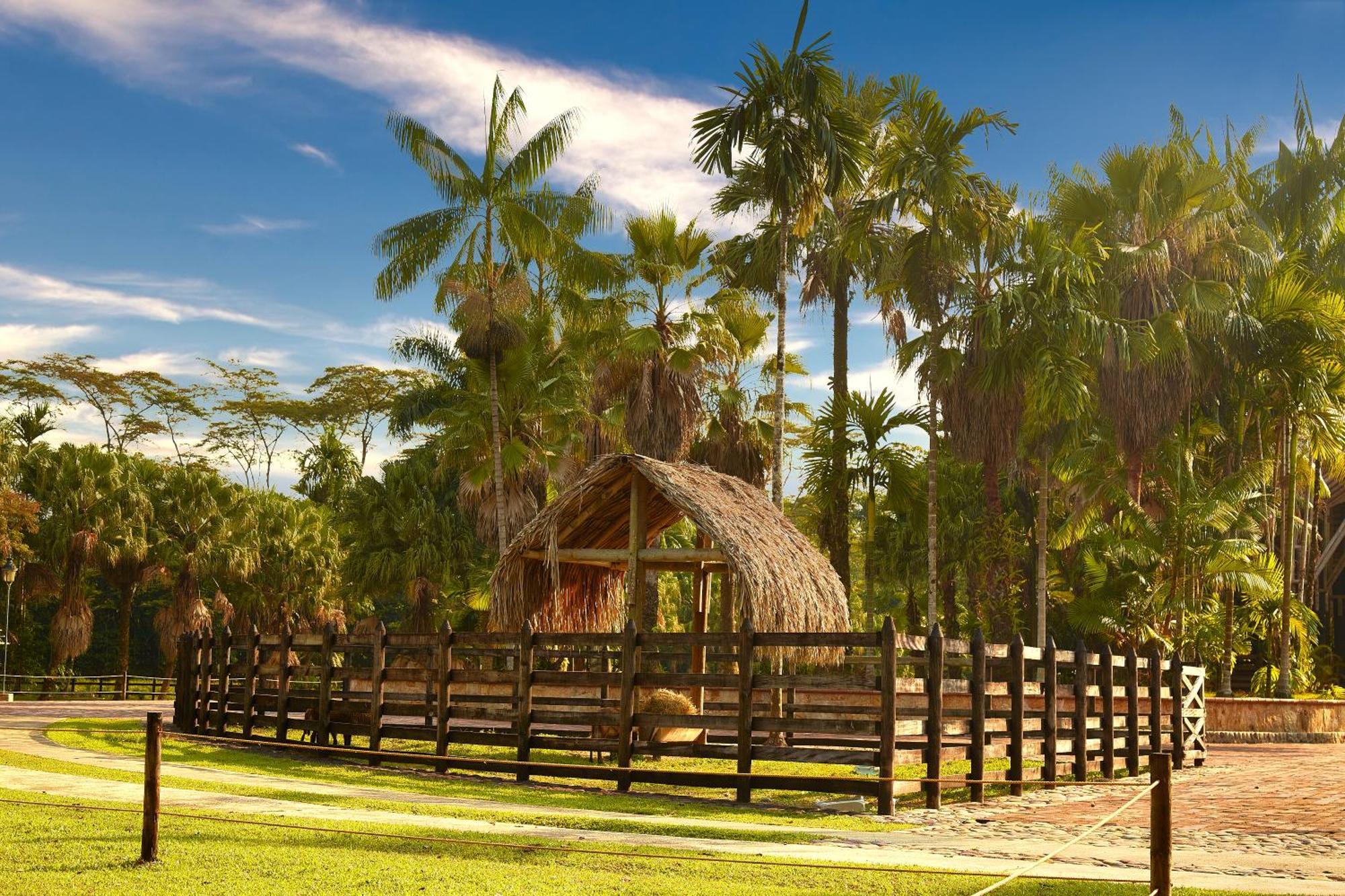 Hotel Reserva De Piedemonte ビリャビセンシオ エクステリア 写真