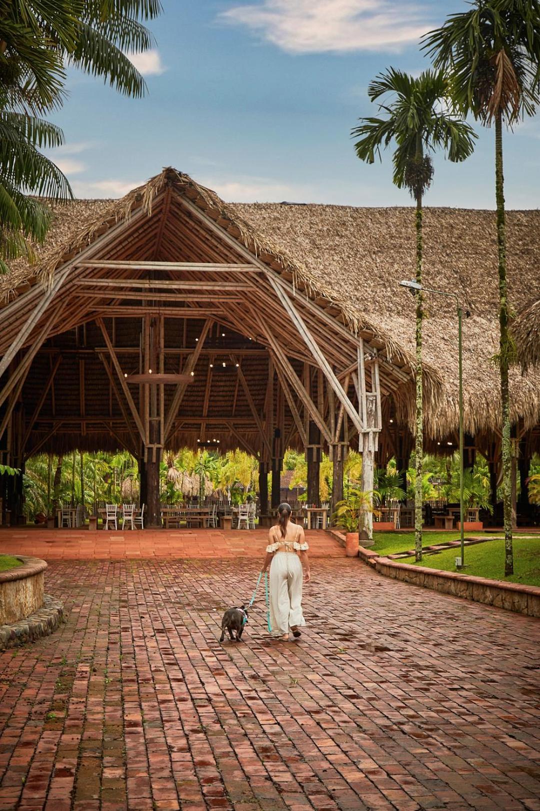 Hotel Reserva De Piedemonte ビリャビセンシオ エクステリア 写真